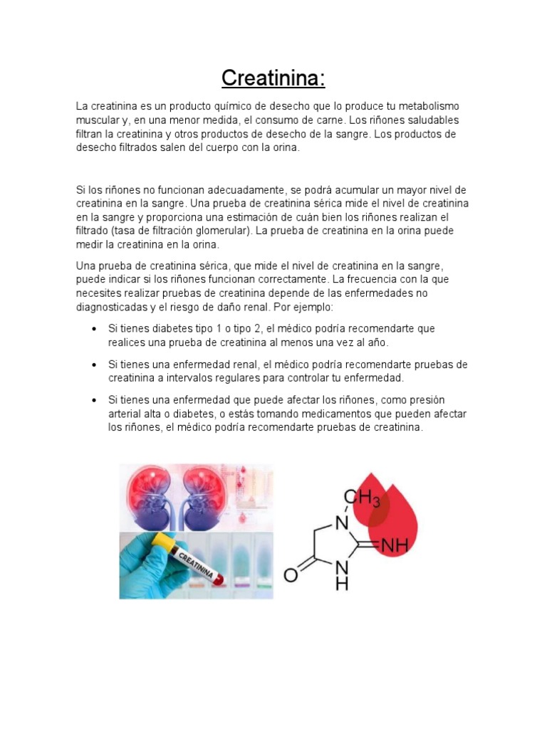 Creatinina: Función y Niveles Normales | PDF | Creatinina | Riñón