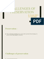 Challenges of Preservation