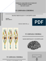 Mapas Mentales y Conceptuales Na