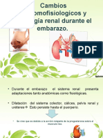 Cambios Renales en El Embarazo