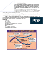 DNA Replication Project