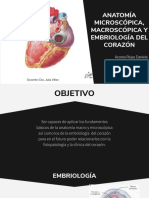 Anatomia y Embriología Del Corazón