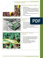 Soil and Plant Nutrient Deficiency Symptoms