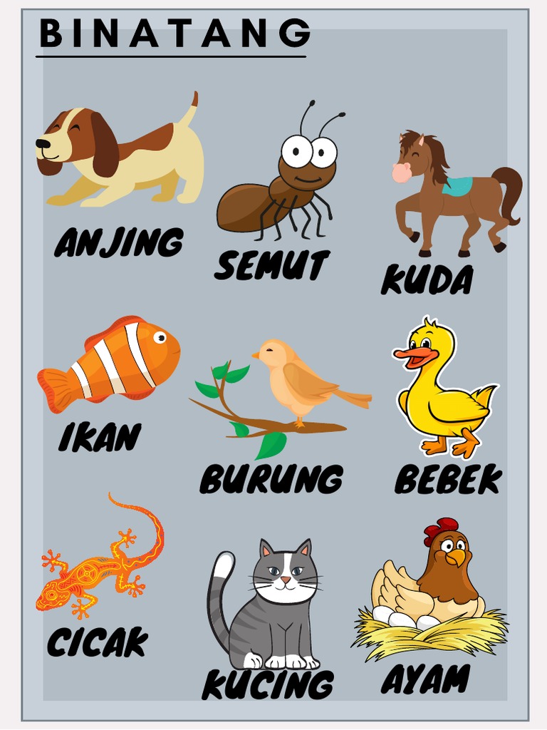50 Gambar Ayam Kucing Bebek Cicak Burung Terbaik