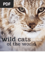 Wild Cats of The World