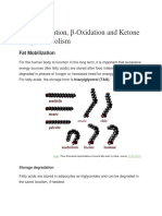 Fatty Acid and Ketone Body Metabolism