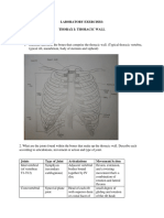 Thorax I - Thoracic Wall