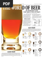 Beer Primer