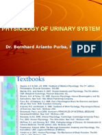 Understanding the Physiology of the Urinary System