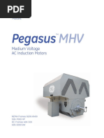 Pegasus: Medium Voltage AC Induction Motors