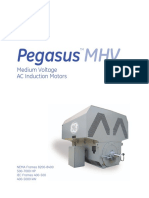 Pegasus: Medium Voltage AC Induction Motors