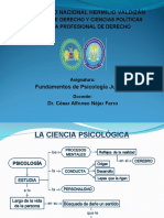 Fundamentos de Psicología Jurídica (La Ciencia Psicológica) (1)