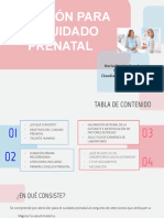 Control Prenatal Resolucion 3280