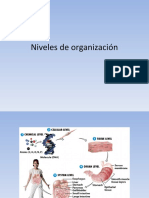 Niveles de Organización