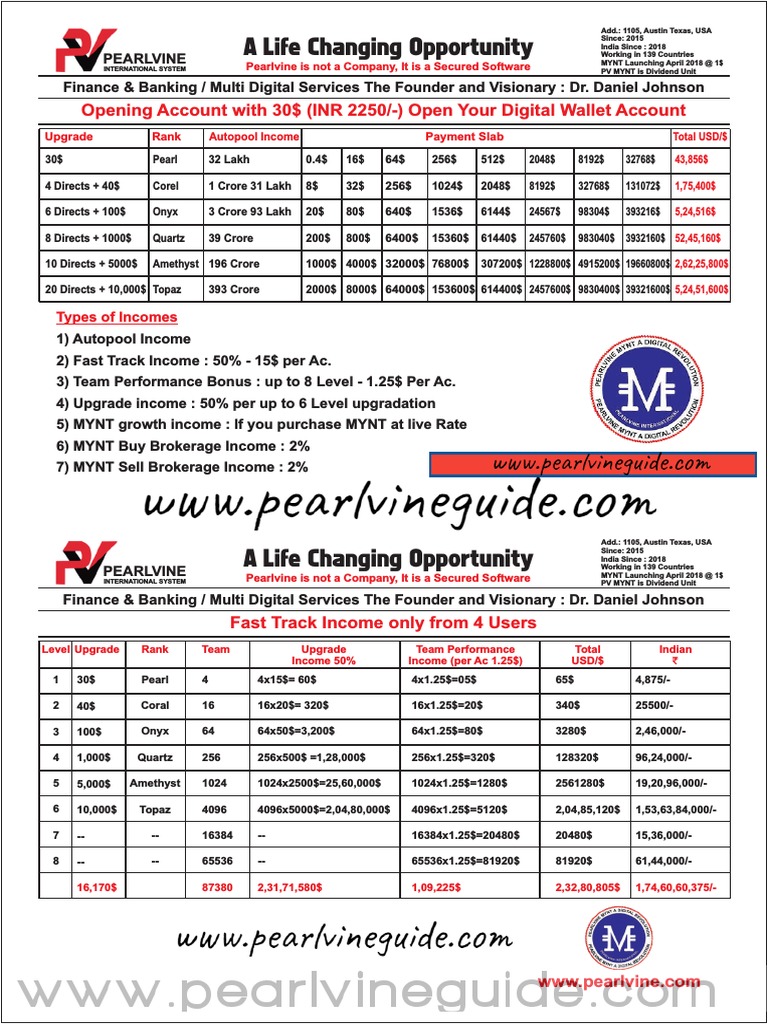 Pearlvine Fast Track Income Plan Free PDF - PearlvineGuide | PDF ...