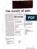 Ants-Icfes