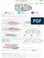 Whats in My Brain Template - Google Search