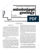 Rocks and Fossils Collected From Mississippi Gravel: The Department of Environmental Quality
