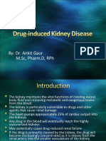 pdf-drug-induced-kidney-disease-injury_compress