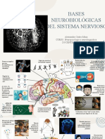 Mapa Mental