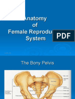 Chapter 1-Anatomy of Female Reproductive System