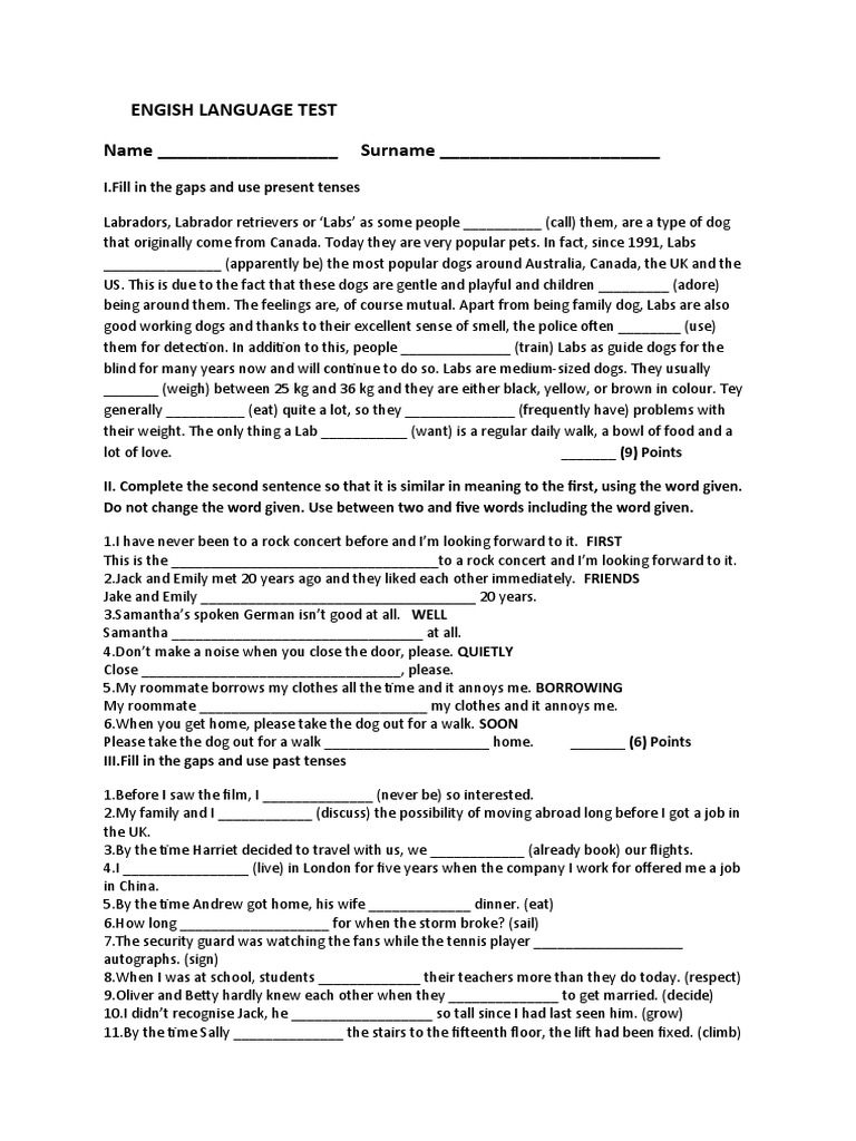 English Grammar Practice Test | PDF | Labrador Retriever
