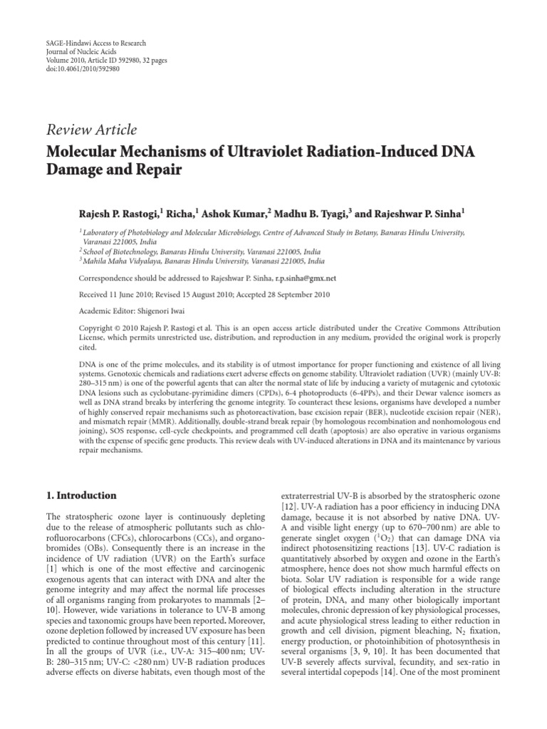 Molecular Mechanisms of Ultraviolet Radiation-Induced DNA Damage and ...