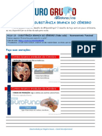 Desafio 13 - Substância Branca do Cérebro