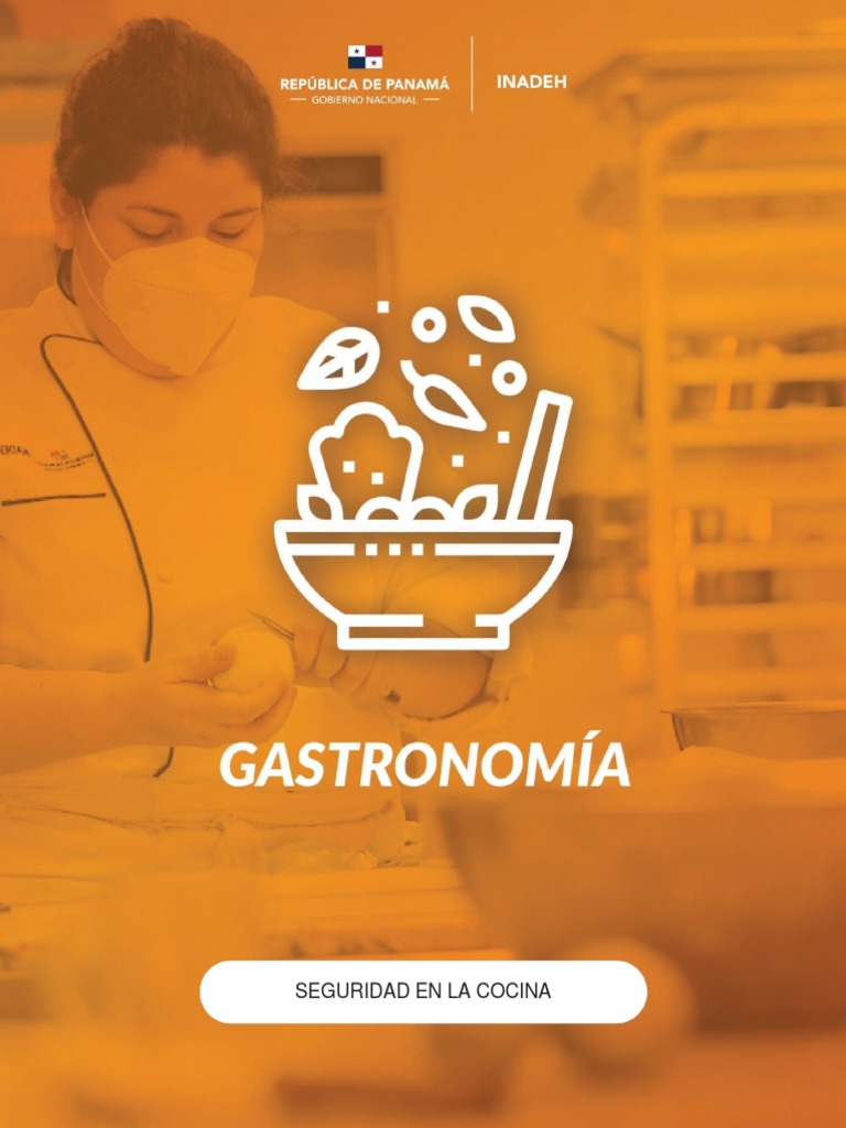 Seguridad y Prevención en la Cocina | PDF | Cocina | Estufa de cocina