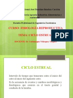 CICLO ESTRUAL (2)