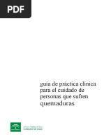 ISBI Guidelines Spanish Final I | PDF | Hospital | Ensayo clínico