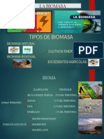 Tipos y clasificación de la biomasa como fuente de energía