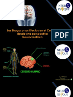 Las Drogas en El Cerebro - Dr. Luis Bravo