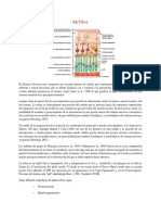 PDF Retina y Nervio Optico