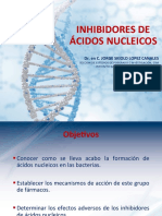 Farmacos Inhibidores de Acidos Nucleicos