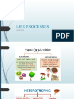 Life Processes - Nutrition in Humans