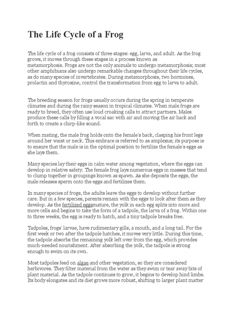 Life Cycle of A Frog PDF Frog Egg