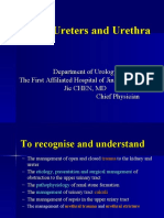 2021 05 20 Kineys, Ureters and Urethra