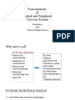 Neuroanatomy of the Central and Peripheral Nervous System