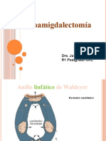 Adenoamigdalectomia 