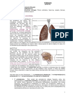 αναπνευστικο συστημα