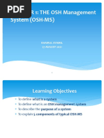 OHS Program: Key Elements and Guidelines | PDF | Occupational Safety ...