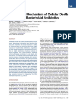 A Common Mechanism of Cellular Death Induced by Bactericidal Antibiotics
