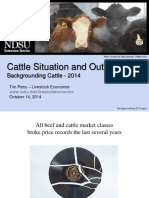 Cattle Situation and Outlook