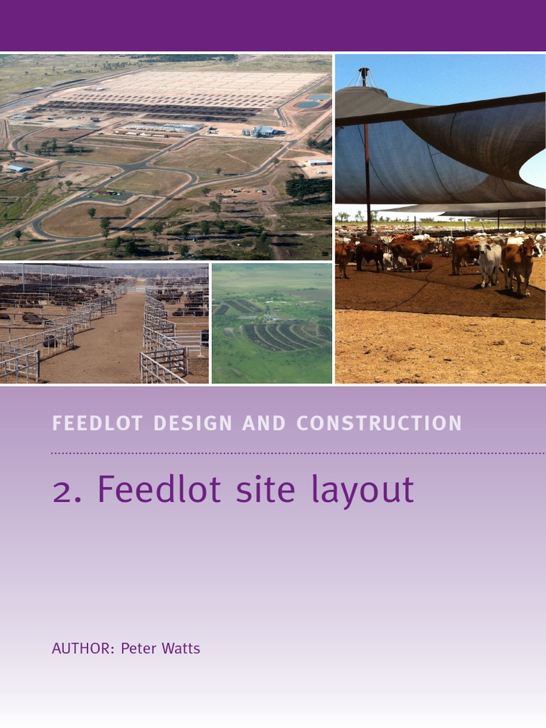 Efficient Feedlot Design and Layout Guide | PDF | Road | Cattle