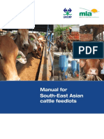 South East Asian Cattle Feedlots