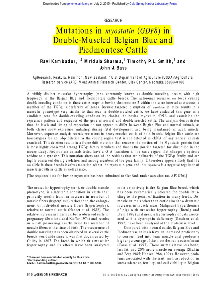 Mutations in Myostatin (GDF8) in DoubleMuscled Belgian Blue and