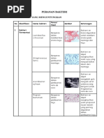 Download Peranan Bakteri by Faiz Dhyfa SN52223441 doc pdf