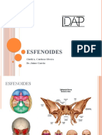 Estructuras del esfenoides