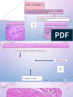 Caso Clínico 2